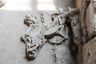 Италия. Помпеи. Раскопки на территории археологического парка.
Italy. Pompeii. Excavations at the Archaeological Park - ffoto-graff