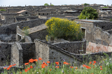 Италия. Помпеи. Руины домов в археологическом парке.
Italy. Pompeii. Ruins of Homes in the Archaeological Park - ffoto-graff