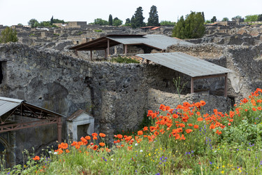 Италия. Помпеи. Руины домов в археологическом парке. Italy. Pompeii. Ruins of Homes in the Archaeological Park - ffoto-graff