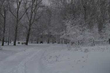 Зимний пейзаж в городском парке во время снегопада - RYSEV
