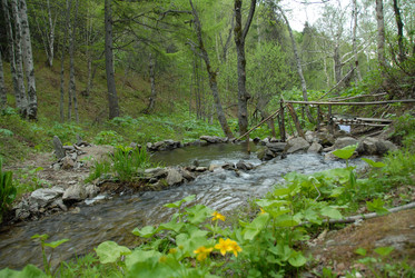 Ручей в лесу. Купель. Сахалин. Waterfall. Sakhalin. (marka) - marka