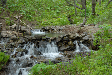 Ручей в лесу. Купель. Сахалин. Waterfall. Sakhalin. (marka) - marka