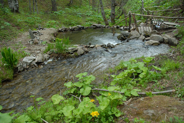 Ручей в лесу. Купель. Сахалин. Waterfall. Sakhalin. (marka) - marka