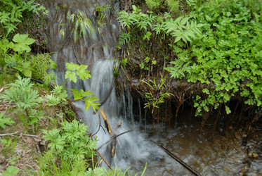 Ручей в лесу. Сахалин. Waterfall. Sakhalin. (marka) - marka