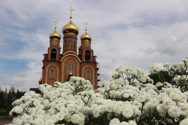 Православный храм с золотыми куполами за цветущими белыми цветами - kitikat