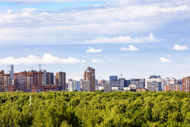 Панорама с многоквартирными домами и зеленым городским парком - vale