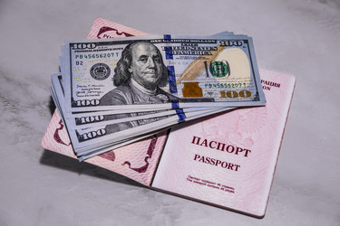 Российский загранпаспорт и стодолларовые купюры США - Xandery