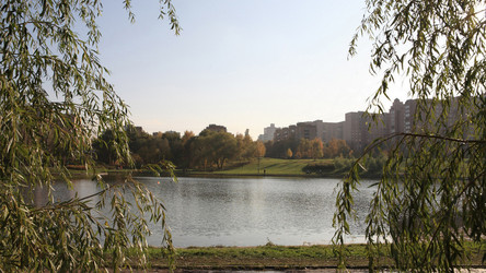Осень в парке днем - ru3apr