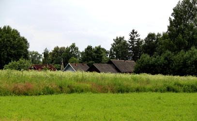 Крыши деревенских домов. Новгородская область. Июль 2026г - Zauberfloten