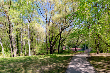 Москворецкий парк. Крылатское, Москва - IgorRozhkov