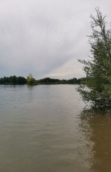 Тихий речной пейзаж с деревьями на берегу под облачным небом - Anna_m