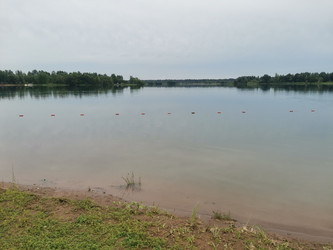 Летний речной пейзаж с широкой гладью воды и лесом на горизонте - Anna_m
