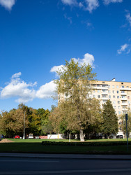 Красивые зеленые деревья вдоль проспекта в Москве осенью - Koralex2014