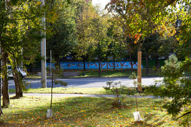 Красивые зеленые деревья вдоль проспекта в Москве осенью - Koralex2014
