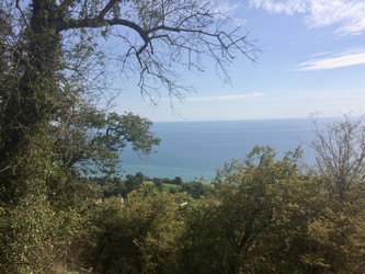 Вид на Черное море, Абхазия, Новый Афон - OlgaK