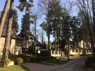 Дома в лесу Светлогорска, Калининградская область - OlgaK