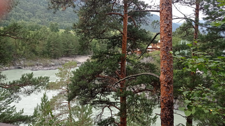 Район села Чемал, здесь расположено множество баз отдыха на берегу реки - bykgeniy