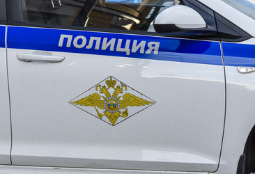 Официальная российская полицейская машина с эмблемой и дизайном - Sadoff