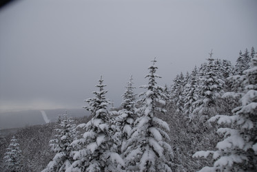 Горнолыжный комплекс «Горный воздух» зимой. Сахалин. View of the ski complex "Gorny Vozduh". Sakhalin. (marka) - marka
