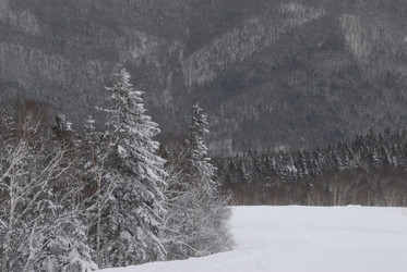 Горнолыжный комплекс «Горный воздух» зимой. Сахалин. View of the ski complex "Gorny Vozduh". Sakhalin. (marka) - marka