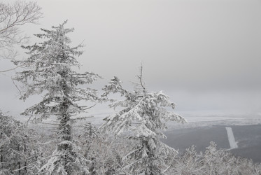 Горнолыжный комплекс «Горный воздух» зимой. Сахалин. View of the ski complex "Gorny Vozduh". Sakhalin. (marka) - marka