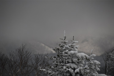 Горнолыжный комплекс «Горный воздух» зимой. Сахалин. View of the ski complex "Gorny Vozduh". Sakhalin. (marka) - marka