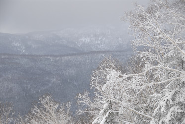 Горнолыжный комплекс «Горный воздух» зимой. Сахалин. View of the ski complex "Gorny Vozduh". Sakhalin. (marka) - marka