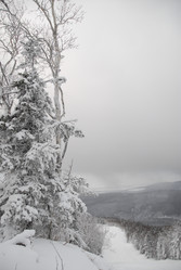 Горнолыжный комплекс «Горный воздух» зимой. Сахалин. View of the ski complex "Gorny Vozduh". Sakhalin. (marka) - marka