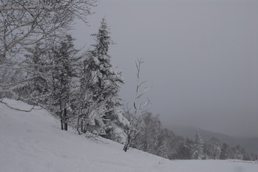 Горнолыжный комплекс «Горный воздух» зимой. Сахалин. View of the ski complex "Gorny Vozduh". Sakhalin. (marka) - marka