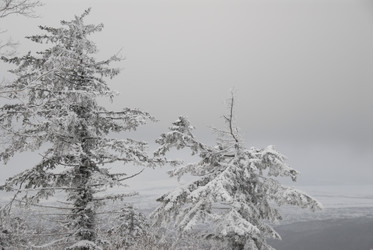 Горнолыжный комплекс «Горный воздух» зимой. Сахалин. View of the ski complex "Gorny Vozduh". Sakhalin. (marka) - marka