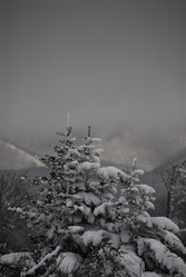 Горнолыжный комплекс «Горный воздух» зимой. Сахалин. View of the ski complex "Gorny Vozduh". Sakhalin. (marka) - marka