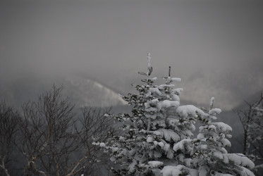 Горнолыжный комплекс «Горный воздух» зимой. Сахалин. View of the ski complex "Gorny Vozduh". Sakhalin. (marka) - marka