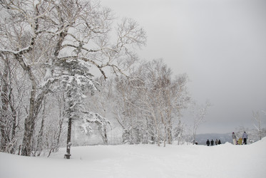 Горнолыжный комплекс «Горный воздух» зимой. Сахалин. View of the ski complex "Gorny Vozduh". Sakhalin. (marka) - marka