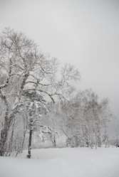 Горнолыжный комплекс «Горный воздух» зимой. Сахалин. View of the ski complex "Gorny Vozduh". Sakhalin. (marka) - marka