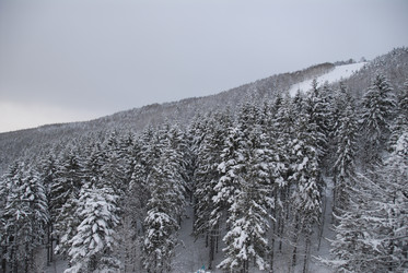 Горнолыжный комплекс «Горный воздух» зимой. Сахалин. View of the ski complex "Gorny Vozduh". Sakhalin. (marka) - marka