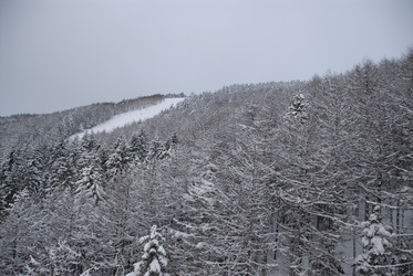 Горнолыжный комплекс «Горный воздух» зимой. Сахалин. View of the ski complex "Gorny Vozduh". Sakhalin. (marka) - marka