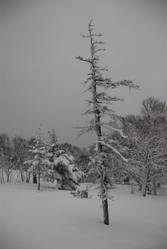 Горнолыжный комплекс «Горный воздух» зимой. Сахалин. View of the ski complex "Gorny Vozduh". Sakhalin. (marka) - marka
