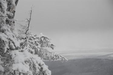 Горнолыжный комплекс «Горный воздух» зимой. Сахалин. View of the ski complex "Gorny Vozduh". Sakhalin. (marka) - marka