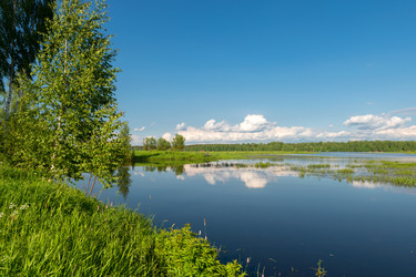Облака отражаются в воде лесного озера летним днем - kostya6969