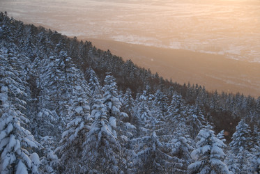 Горнолыжный комплекс «Горный воздух» зимой. Сахалин. View of the ski complex "Gorny Vozduh". Sakhalin. (marka) - marka