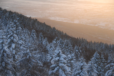 Горнолыжный комплекс «Горный воздух» зимой. Сахалин. View of the ski complex "Gorny Vozduh". Sakhalin. (marka) - marka