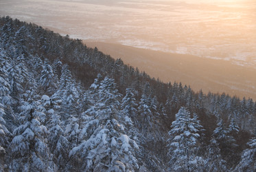 Горнолыжный комплекс «Горный воздух» зимой. Сахалин. View of the ski complex "Gorny Vozduh". Sakhalin. (marka) - marka