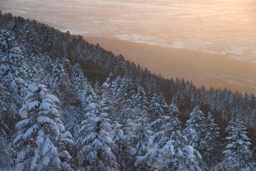 Горнолыжный комплекс «Горный воздух» зимой. Сахалин. View of the ski complex "Gorny Vozduh". Sakhalin. (marka) - marka