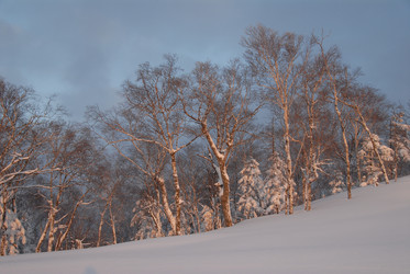 Горнолыжный комплекс «Горный воздух» зимой. Сахалин. View of the ski complex "Gorny Vozduh". Sakhalin. (marka) - marka
