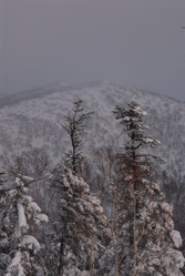 Горнолыжный комплекс «Горный воздух» зимой. Сахалин. View of the ski complex "Gorny Vozduh". Sakhalin. (marka) - marka