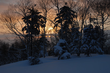 Горнолыжный комплекс «Горный воздух» зимой. Сахалин. View of the ski complex "Gorny Vozduh". Sakhalin. (marka) - marka
