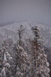 Горнолыжный комплекс «Горный воздух» зимой. Сахалин. View of the ski complex "Gorny Vozduh". Sakhalin. (marka) - marka