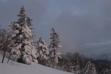 Горнолыжный комплекс «Горный воздух» зимой. Сахалин. View of the ski complex "Gorny Vozduh". Sakhalin. (marka) - marka