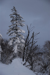Горнолыжный комплекс «Горный воздух» зимой. Сахалин. View of the ski complex "Gorny Vozduh". Sakhalin. (marka) - marka
