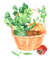 Корзина из соломы с салатом, помидорами, огурцами, горошком, тыквой и болгарским перцем. Акварельная иллюстрация. Ручная работа. Для дизайна упаковки, открыток, обложек, принтов, этикеток для товаров и тканей - Lizyaeva_art